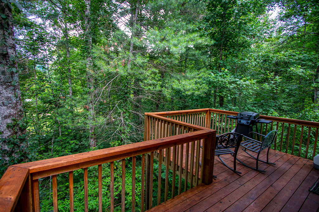 Yellow Pine – Rivers Edge Treehouse Resort